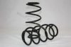 AUTOMEGA 3003120839 Coil Spring